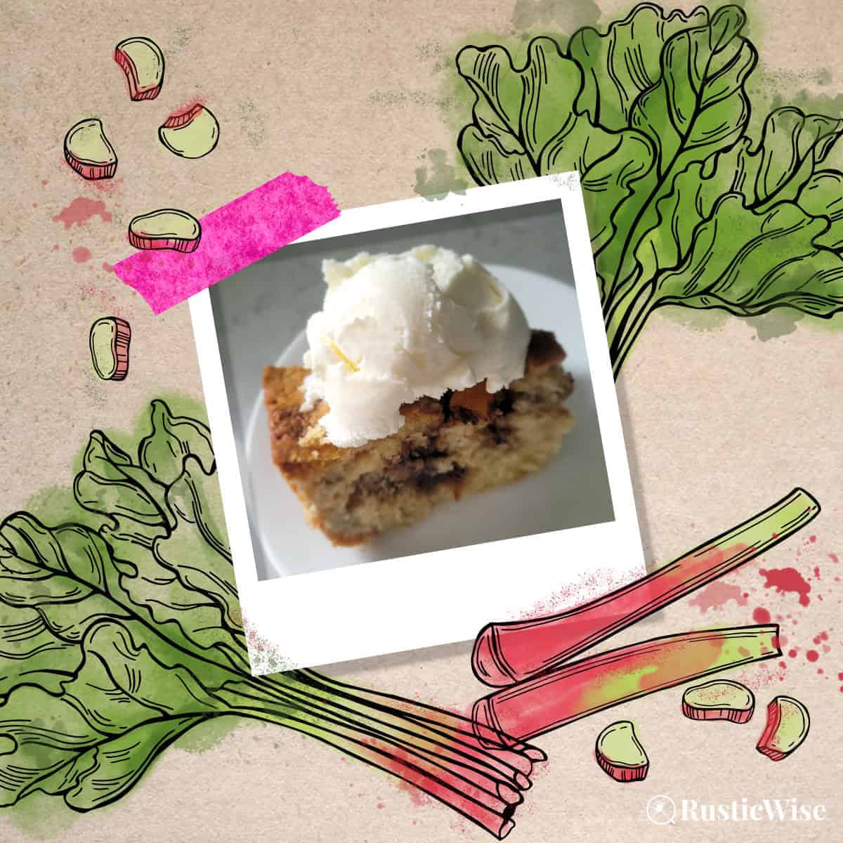 RusticWise, rhubarb cake recipe, feature image